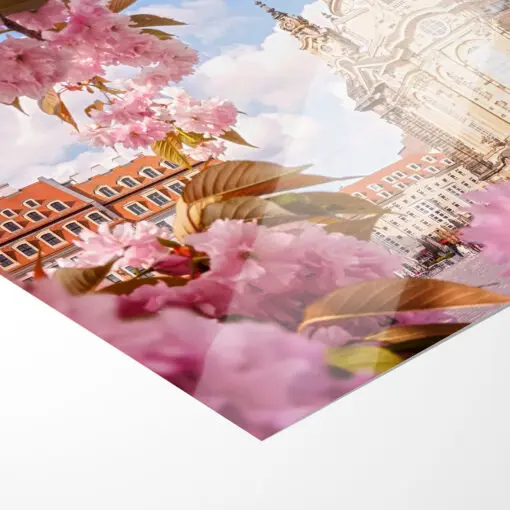 Fotoabzug (00400) Kirschblüten an der Frauenkirche – Bild 2