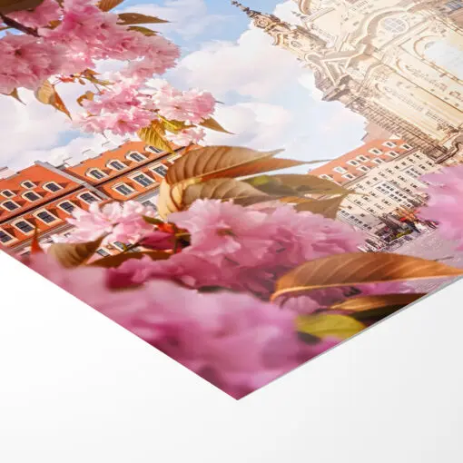 Fotoabzug (00400) Kirschblüten an der Frauenkirche – Bild 3
