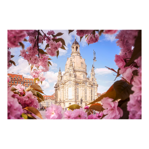 Leinwand (00400) Kirschblüten an der Frauenkirche