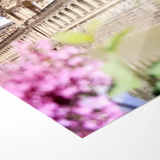 Fotoabzug (00403) Dresdner Zwinger im Frühling – Bild 5