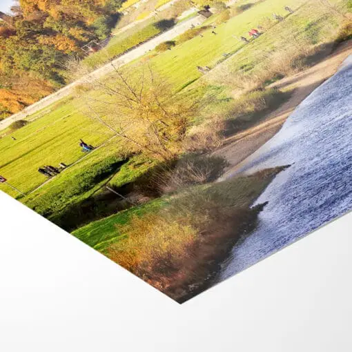 Fotoabzug (00447) Herbst an den Elbschlössern – Bild 5