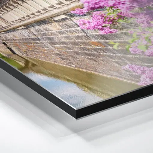 Alu-Dibond (00495) Dresdner Zwinger mit Flieder – Bild 2