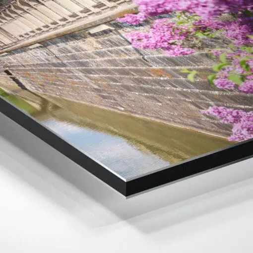 Alu-Dibond (00495) Dresdner Zwinger mit Flieder – Bild 3