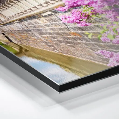 Alu-Dibond (00495) Dresdner Zwinger mit Flieder – Bild 4
