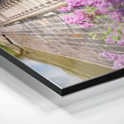 Alu-Dibond (00495) Dresdner Zwinger mit Flieder – Bild 5