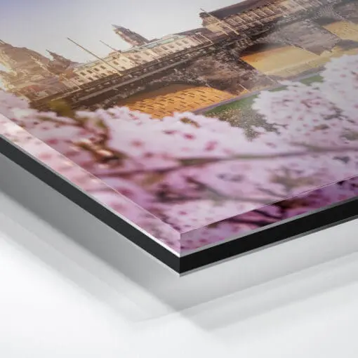 Acryl Board (00503) Dresden Skyline im Frühling – Bild 2