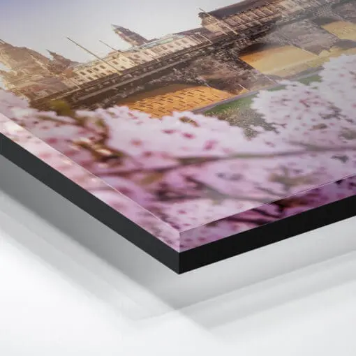 Acryl Board (00503) Dresden Skyline im Frühling – Bild 3