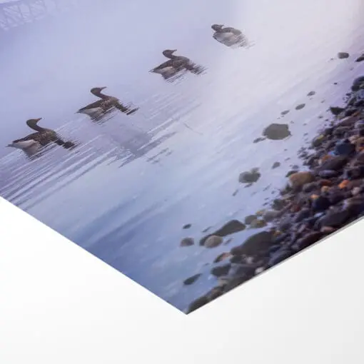 Poster (00505) Blaues Wunder im Nebel – Bild 3