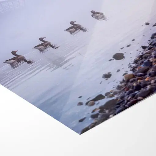 Poster (00505) Blaues Wunder im Nebel – Bild 5
