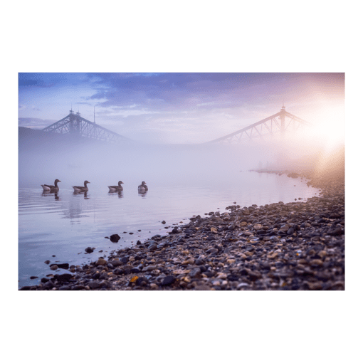 Poster (00505) Blaues Wunder im Nebel