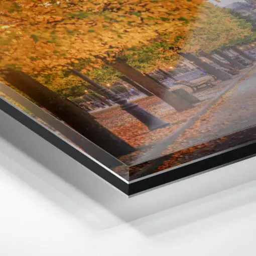 Acryl Board (00562) Brühlsche Terrasse im Herbst – Bild 2