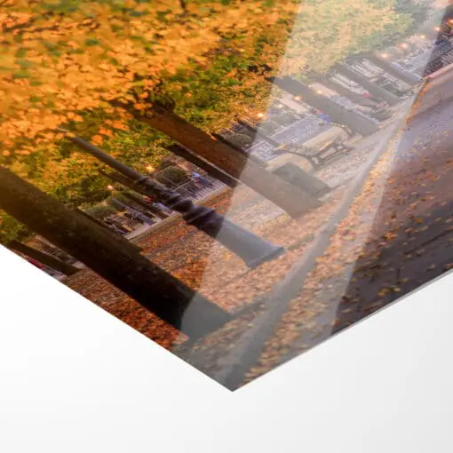 Poster (00562) Brühlsche Terrasse im Herbst – Bild 2