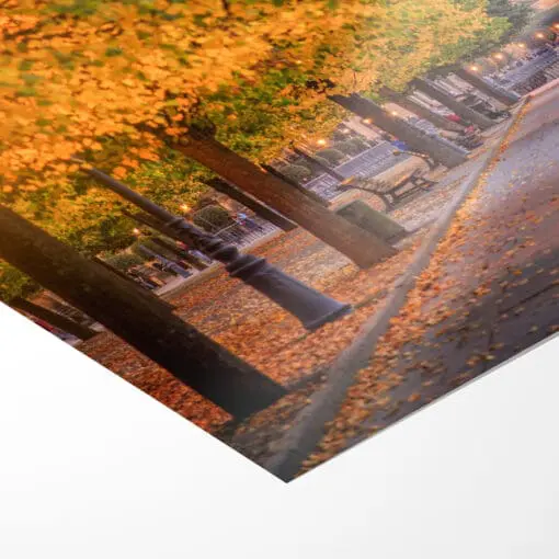 Poster (00562) Brühlsche Terrasse im Herbst – Bild 3
