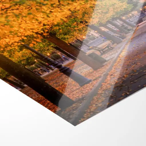 Poster (00562) Brühlsche Terrasse im Herbst – Bild 4