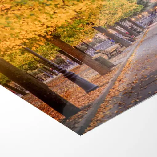 Poster (00562) Brühlsche Terrasse im Herbst – Bild 5