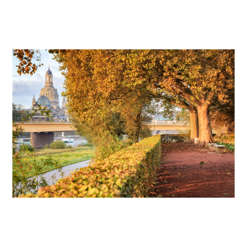 Alu-Dibond (00564) herbstlicher Blick auf Frauenkirche
