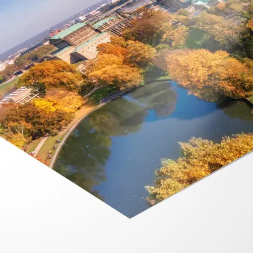 Poster (00568) herbstliches Dresden – Bild 3