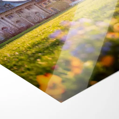 Fotoabzug (00602) Schloss Pillnitz im Frühling – Bild 2