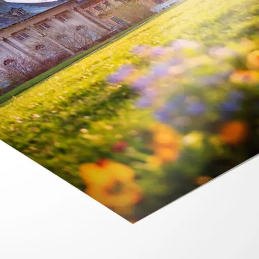 Fotoabzug (00602) Schloss Pillnitz im Frühling – Bild 3
