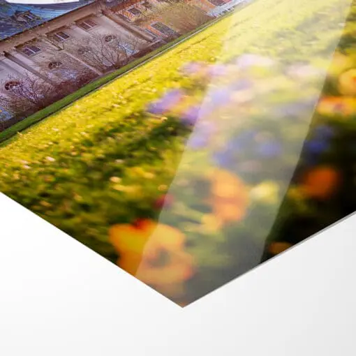 Poster (00602) Schloss Pillnitz im Frühling – Bild 4
