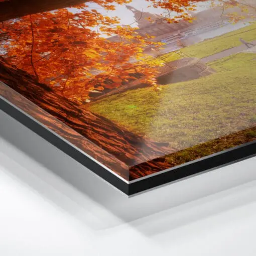 Acryl Board (00638) goldener Herbst in Dresden – Bild 2
