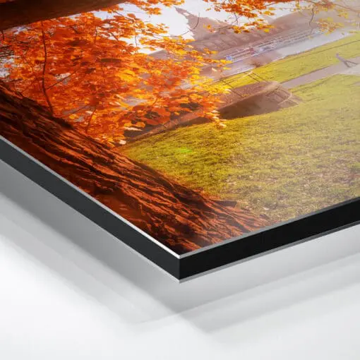 Alu-Dibond (00638) goldener Herbst in Dresden – Bild 2