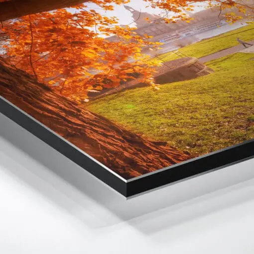 Alu-Dibond (00638) goldener Herbst in Dresden – Bild 3