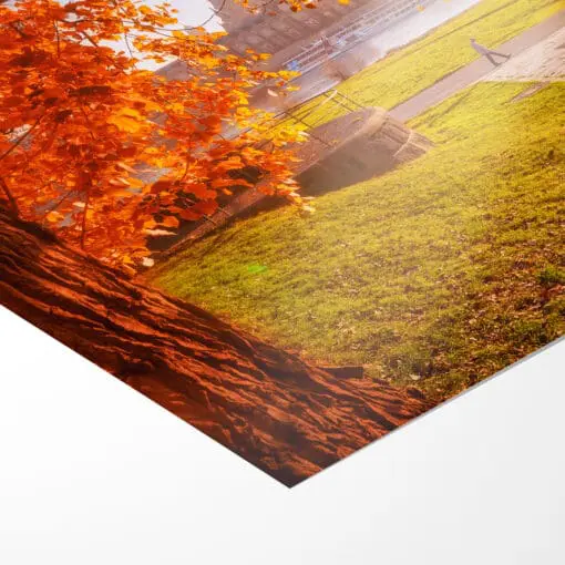 Poster (00638) goldener Herbst in Dresden – Bild 3