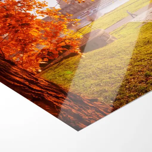 Poster (00638) goldener Herbst in Dresden – Bild 4