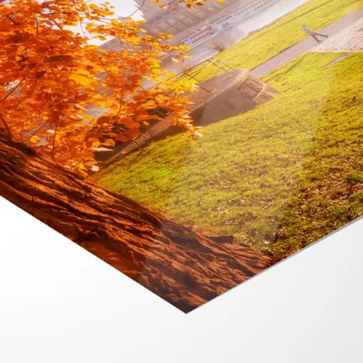 Poster (00638) goldener Herbst in Dresden – Bild 5