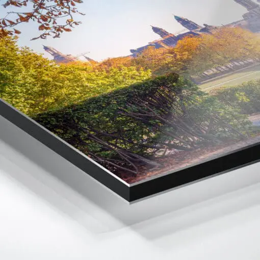 Alu-Dibond (00642) Dresden Skyline im Herbst – Bild 2