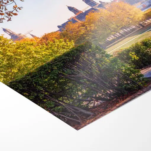 Poster (00642) Dresden Skyline im Herbst – Bild 3