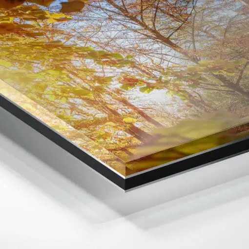 Acryl Board (00648) Lingner Schloss im Herbst – Bild 2