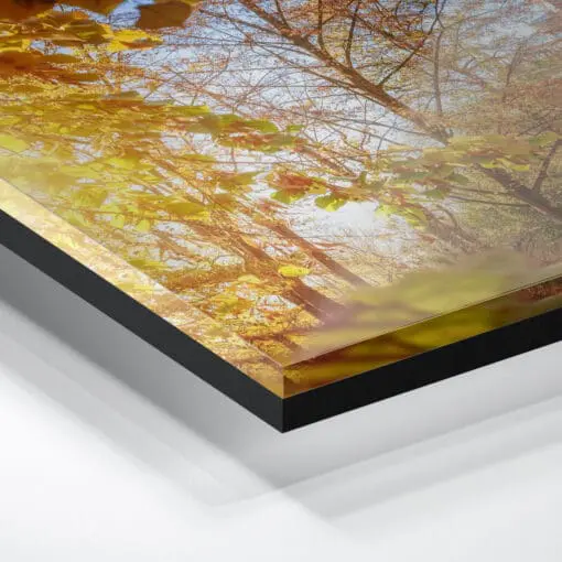 Acryl Board (00648) Lingner Schloss im Herbst – Bild 3
