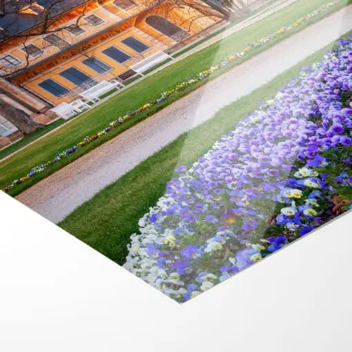 Poster (00681) Schloss Pillnitz im Frühling – Bild 2