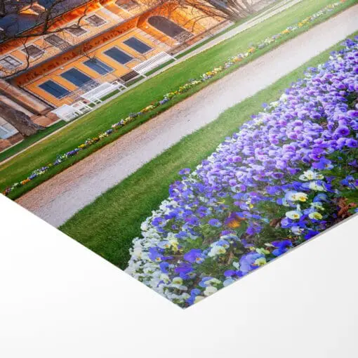 Poster (00681) Schloss Pillnitz im Frühling – Bild 3