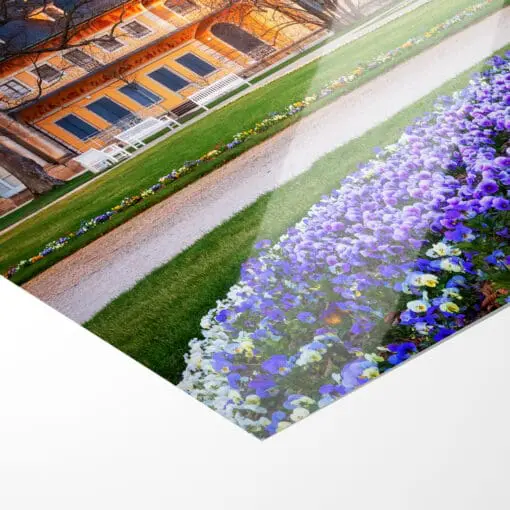 Poster (00681) Schloss Pillnitz im Frühling – Bild 4