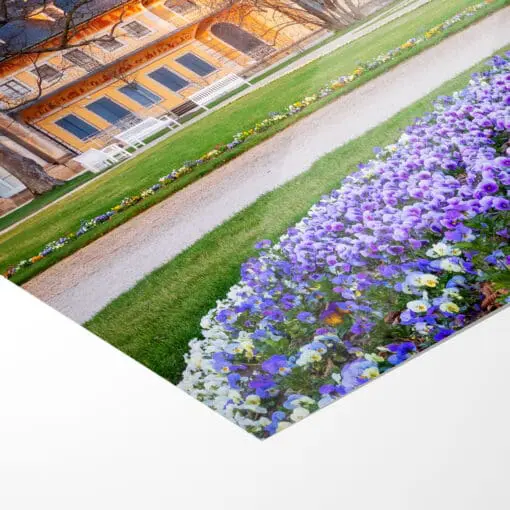 Poster (00681) Schloss Pillnitz im Frühling – Bild 5