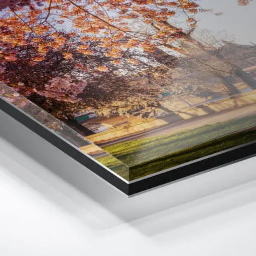 Acryl Board (00684) Dresden im Frühling – Bild 2