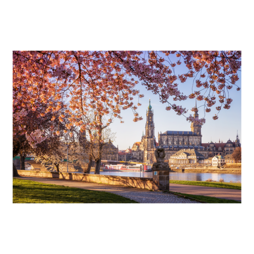 Leinwand (00684) Dresden im Frühling