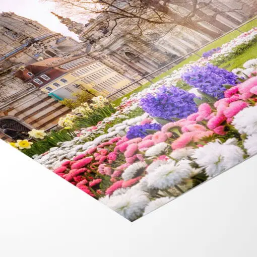 Fotoabzug (00689) Brühlscher Garten im Frühling – Bild 5
