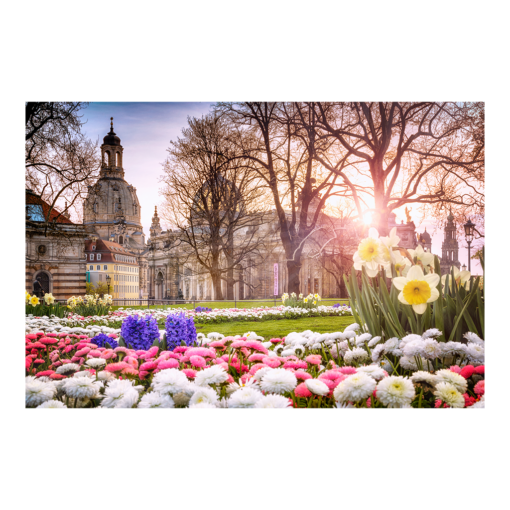 Alu-Dibond (00689) Brühlscher Garten im Frühling