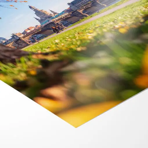Poster (00733) Dresden Skyline im Herbst – Bild 3