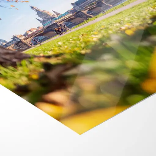 Poster (00733) Dresden Skyline im Herbst – Bild 5