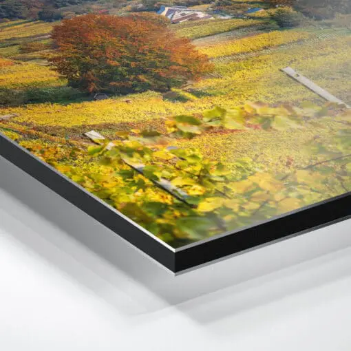 Alu-Dibond (00745) Weinbergkirche im Herbst – Bild 2