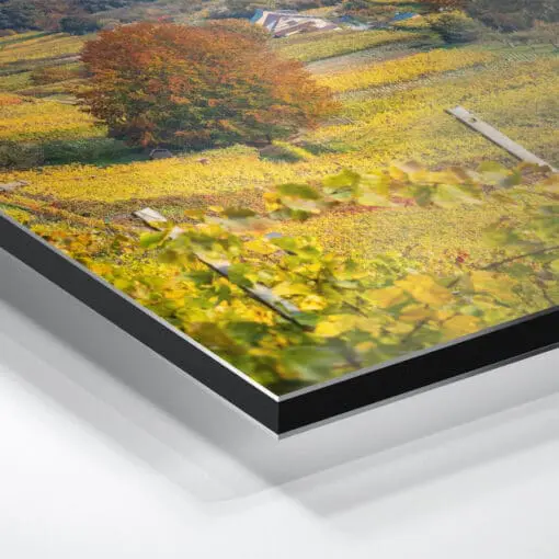 Alu-Dibond (00745) Weinbergkirche im Herbst – Bild 5
