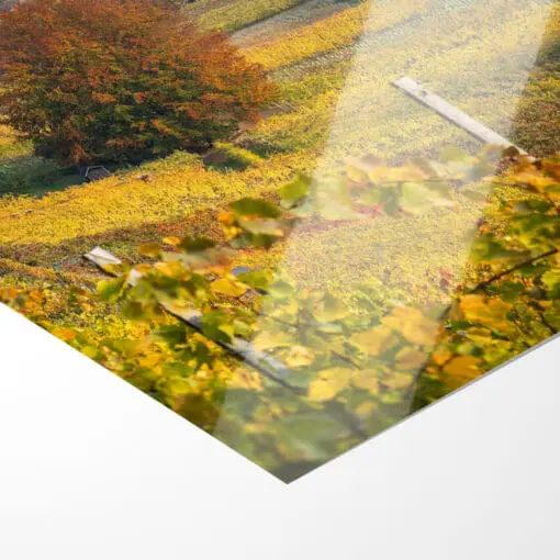 Fotoabzug (00745) Weinbergkirche im Herbst – Bild 2