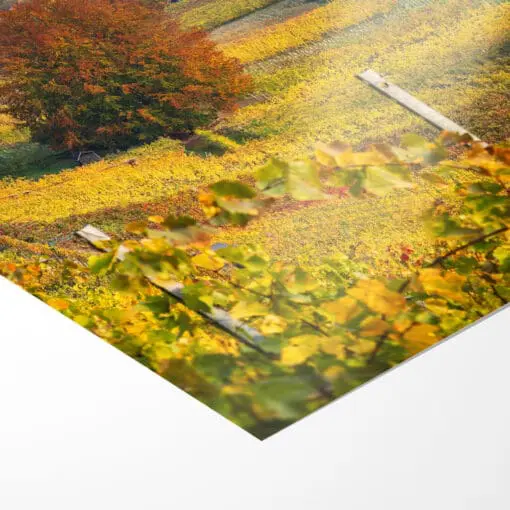 Fotoabzug (00745) Weinbergkirche im Herbst – Bild 3