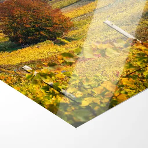 Fotoabzug (00745) Weinbergkirche im Herbst – Bild 4