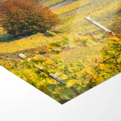 Fotoabzug (00745) Weinbergkirche im Herbst – Bild 5